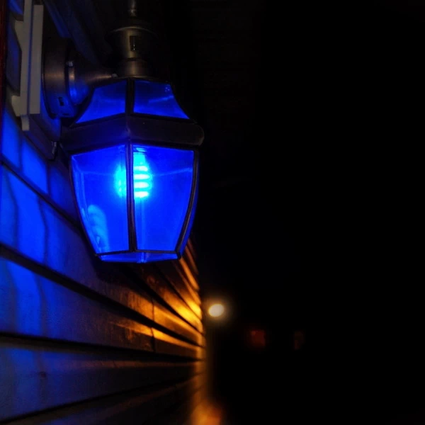 does blue light attract bugs