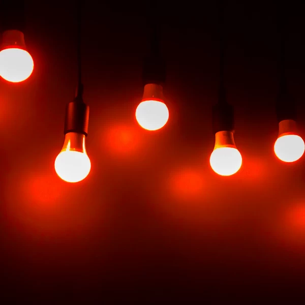 does red light attract bugs