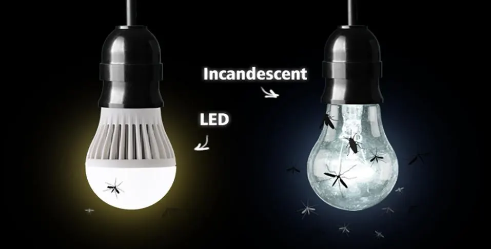 bugs and led lights