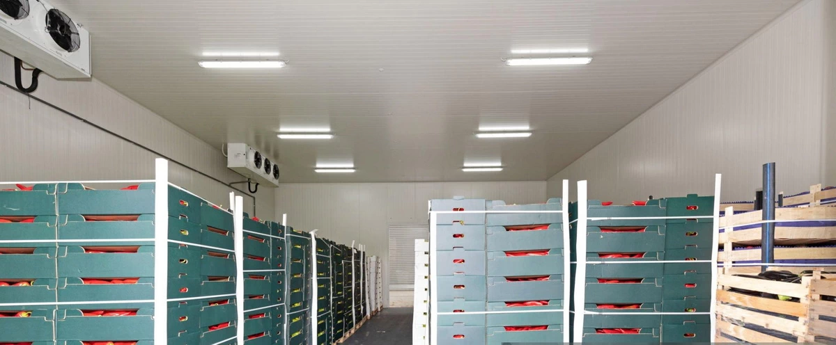 walk in freezers led light