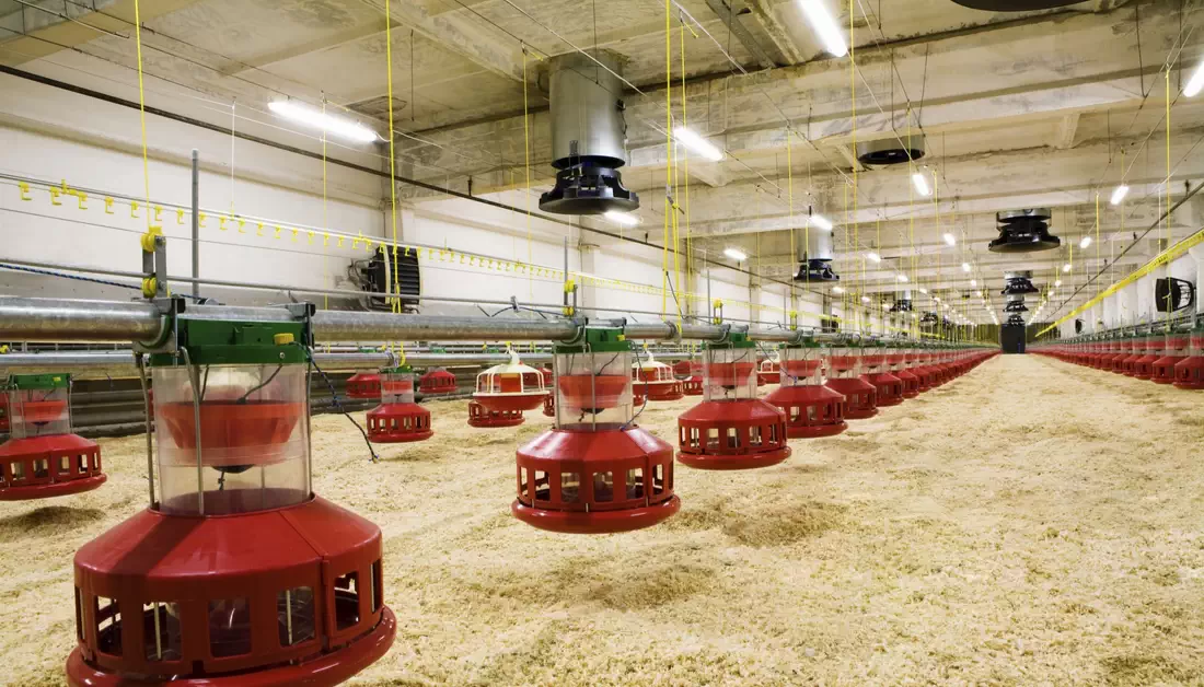 Luces LED comerciales para graneros