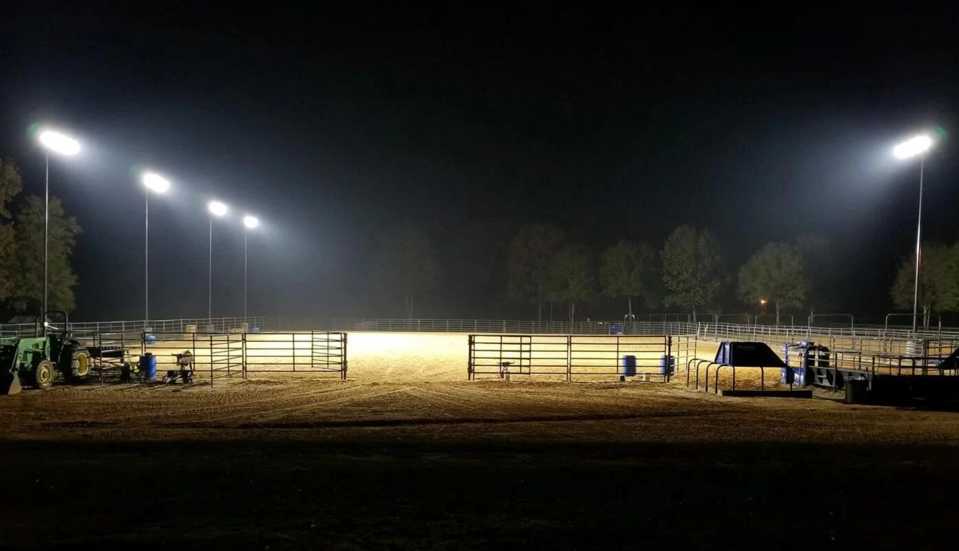 屋外の乗馬アリーナは照明を導いた