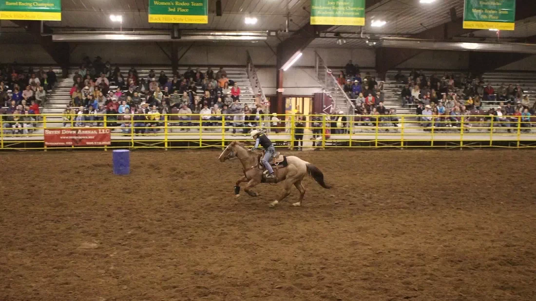 ロデオアリーナ照明