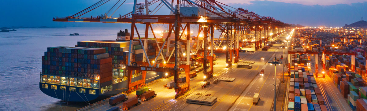 Light up the future, choose professional LED port lighting solutions